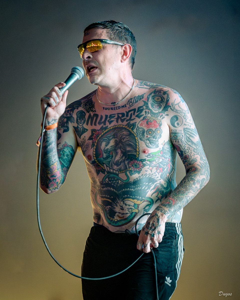 Concert, Laurent Gosselin photographe